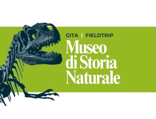 Gita al Museo di Storia Naturale